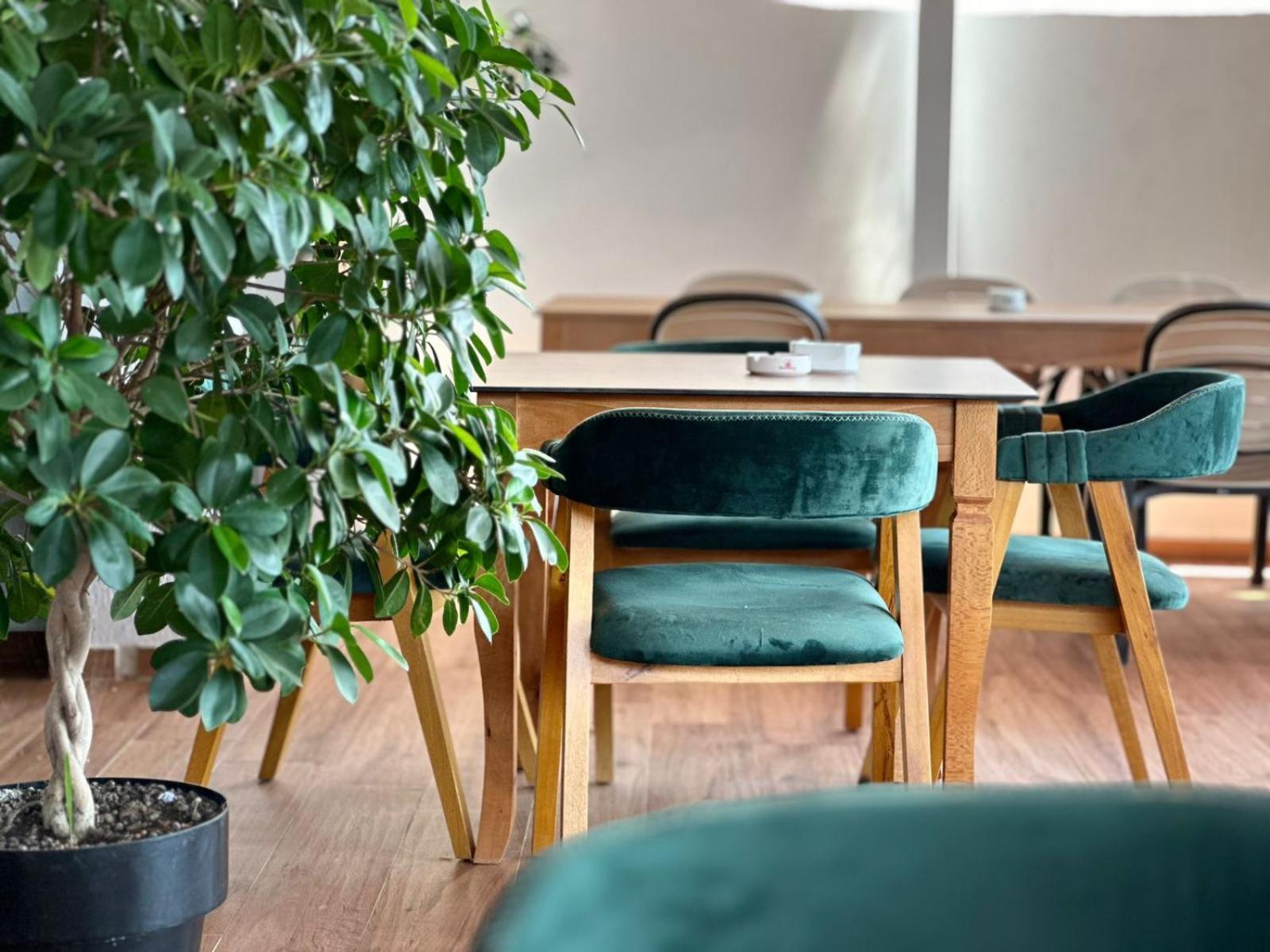 Hotel E Bardhe Butique
